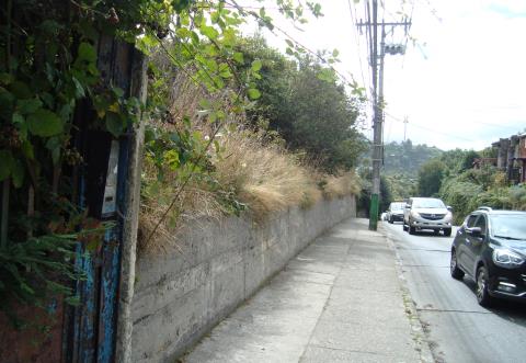 Terreno Pacheco Altamirano,Angelmó Puerto Montt