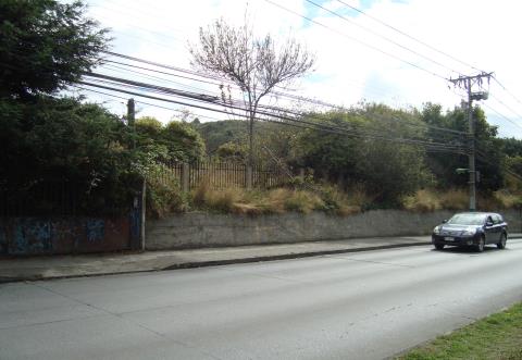 Terreno Pacheco Altamirano,Angelmó Puerto Montt